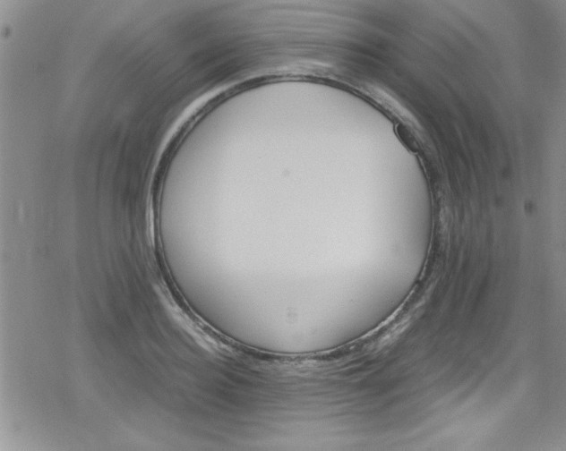 X0000079340940200612082021