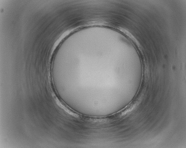 X0000079340941200612082021