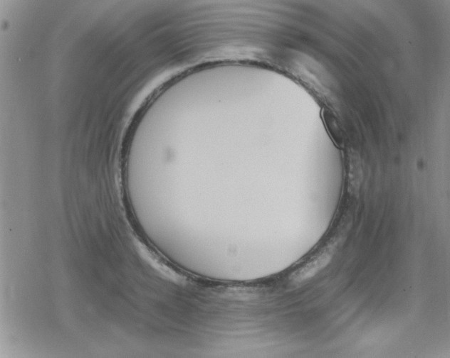 X0000079340942200612082021