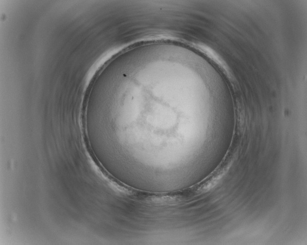 X0000079340943200612082021