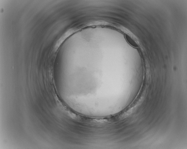 X0000079340945200612082021