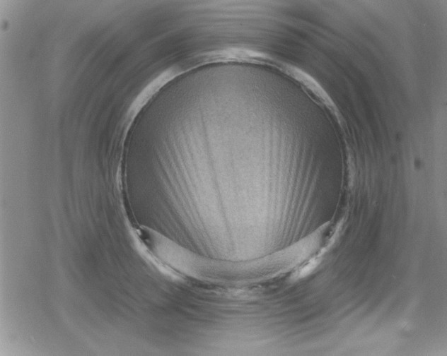 X0000079340946200612082021