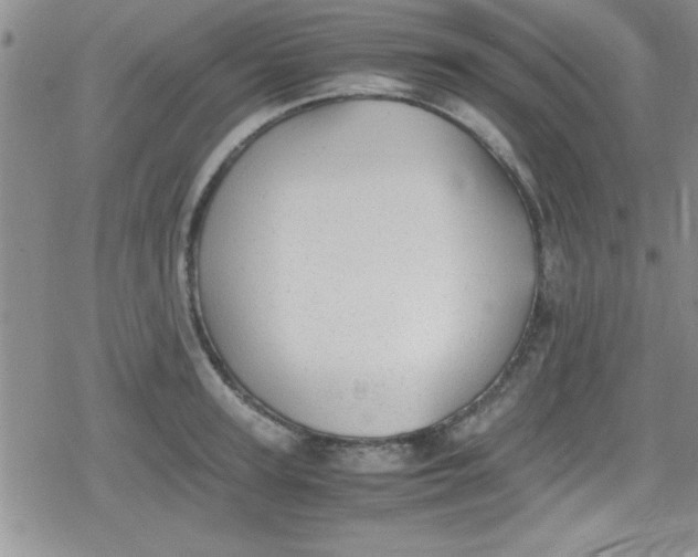 X0000079340947200612082021