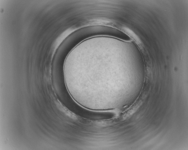 X0000079340948200612082021