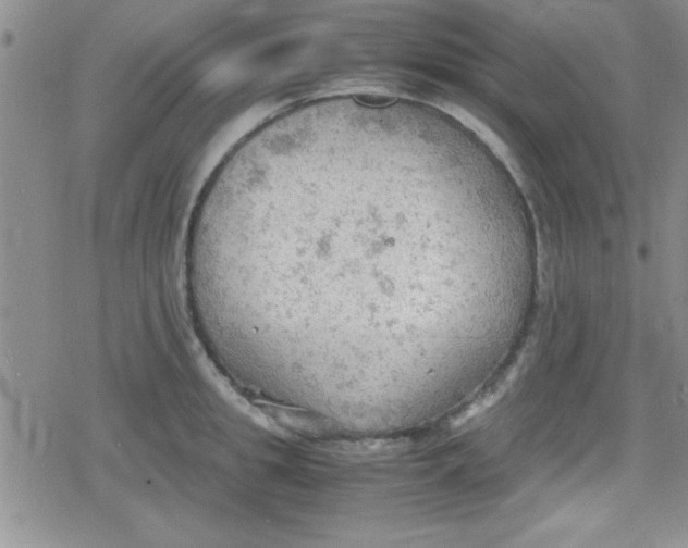 X0000079340949200612082021