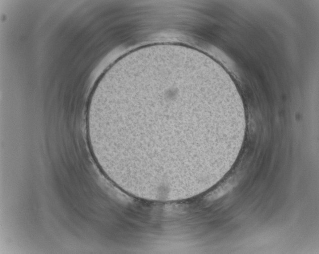 X0000079340950200612082021