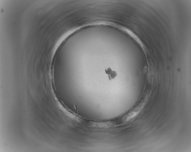 X0000079340951200612082021