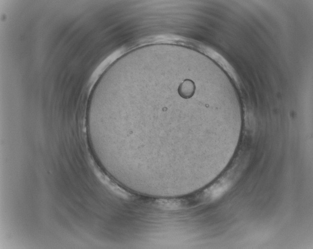 X0000079340954200612082021