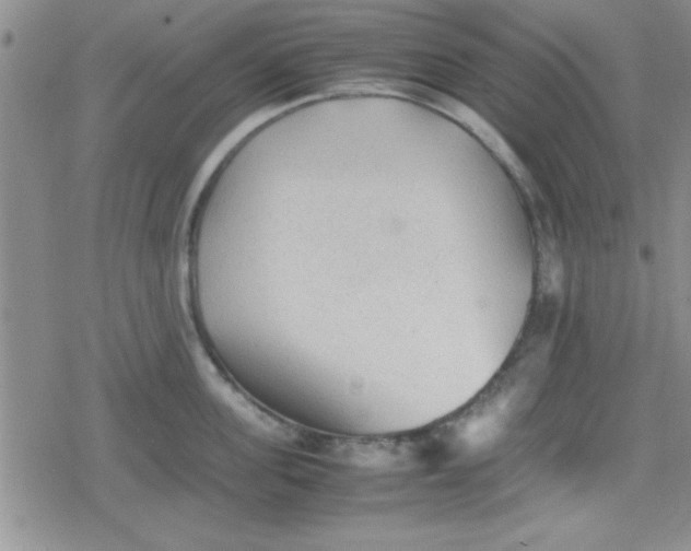 X0000079340955200612082021