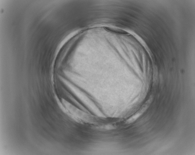 X0000079340957200612082021