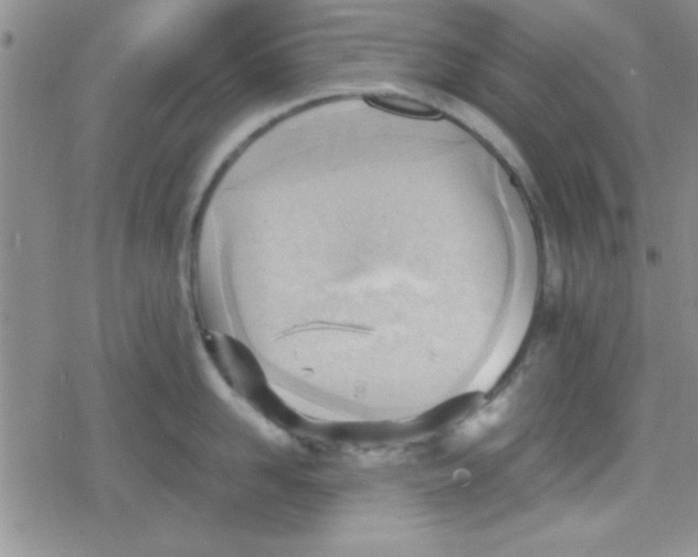 X0000079340958200612082021