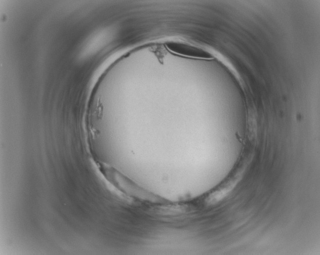 X0000079340959200612082021