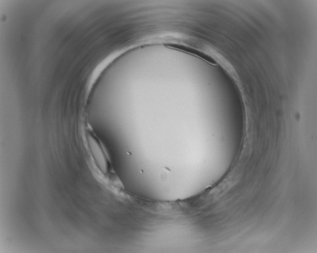 X0000079340960200612082021