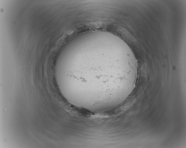 X0000079340961200612082020