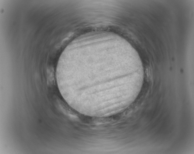 X0000079340963200612082020