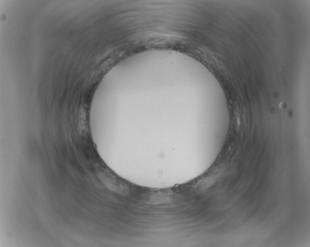 X0000079340964200612082020