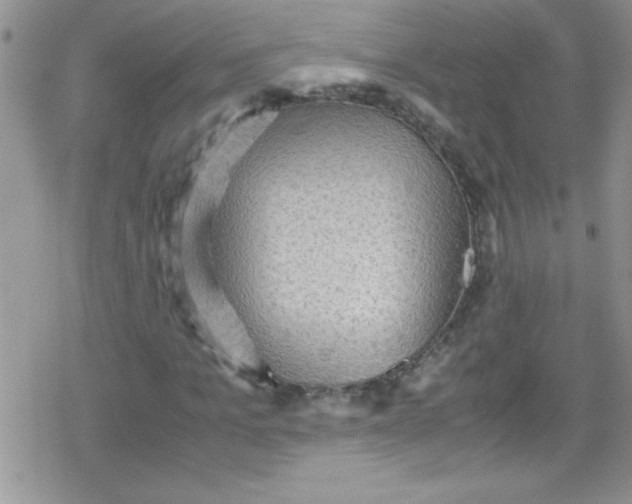 X0000079340965200612082020