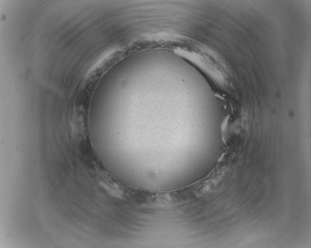 X0000079340968200612082020