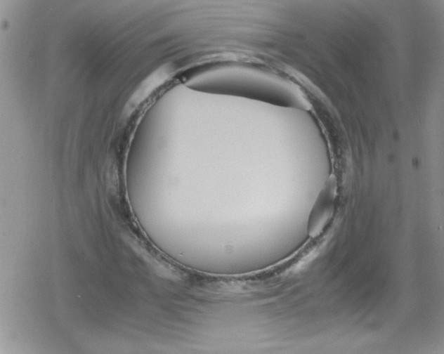 X0000079340969200612082020