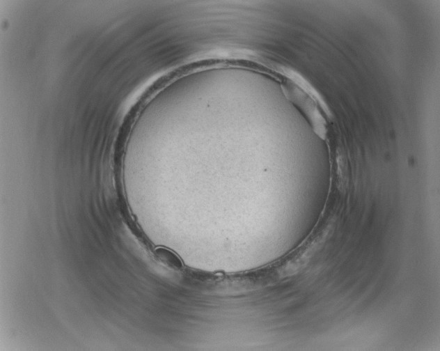 X0000079340972200612082020