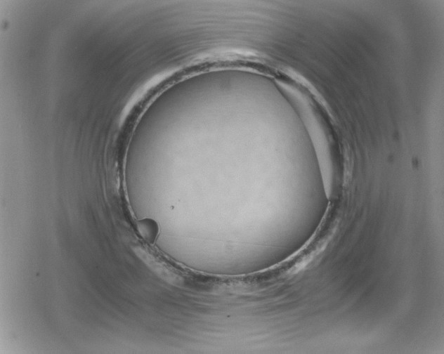 X0000079340973200612082020