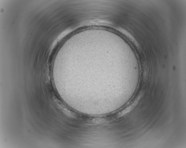 X0000079340974200612082020