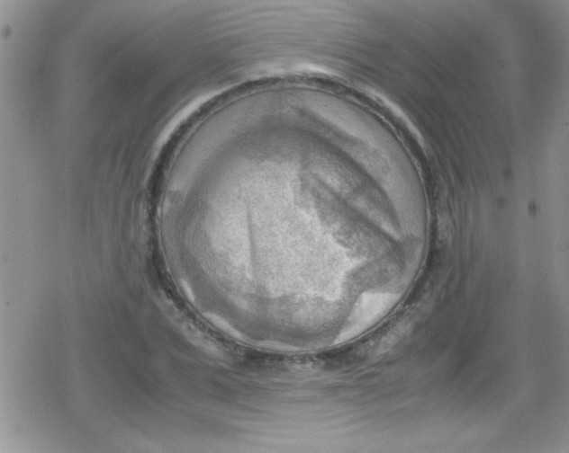 X0000079340975200612082020