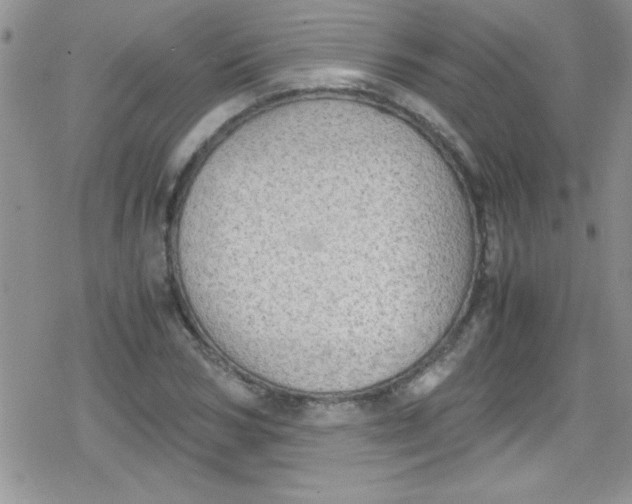 X0000079340978200612082020