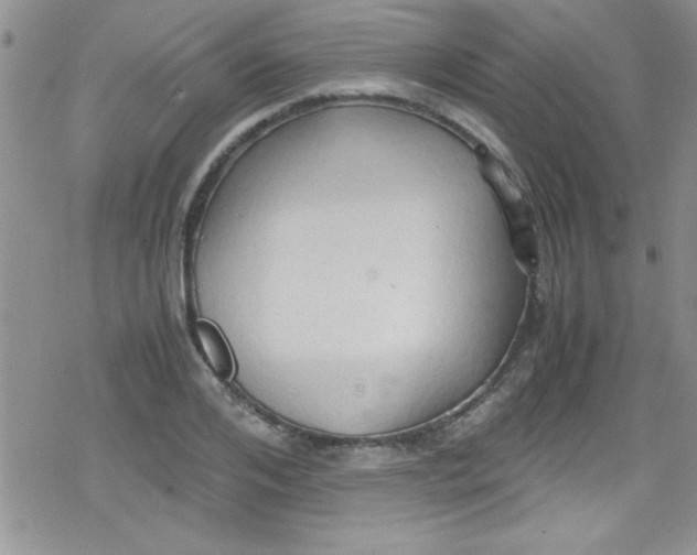 X0000079340984200612082020