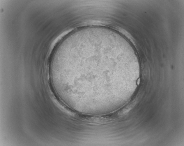 X0000079340987200612082020