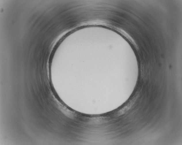 X0000079340988200612082020