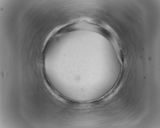 X0000079340989200612082020