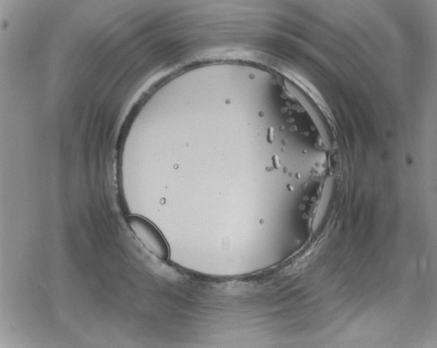 X0000079340992200612082020