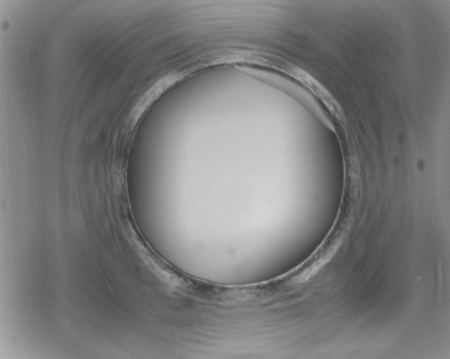 X0000079340993200612082020