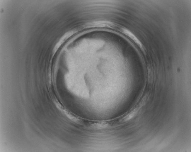 X0000079340994200612082020