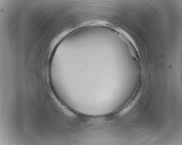 X0000079340997200612082020