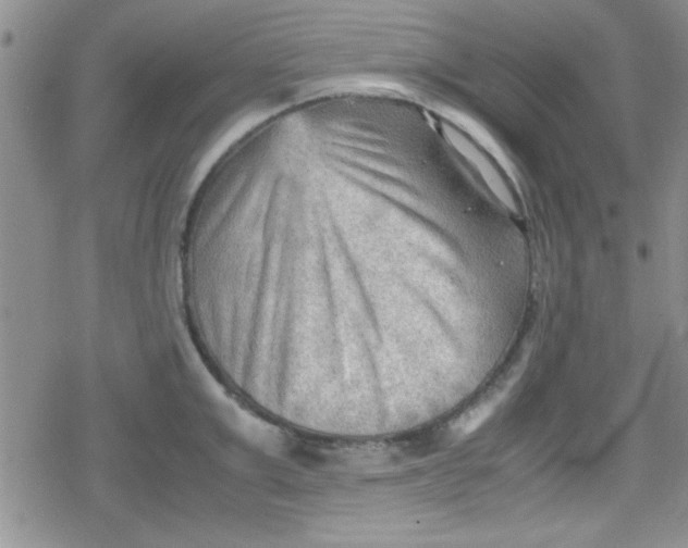 X0000079340999200612082020