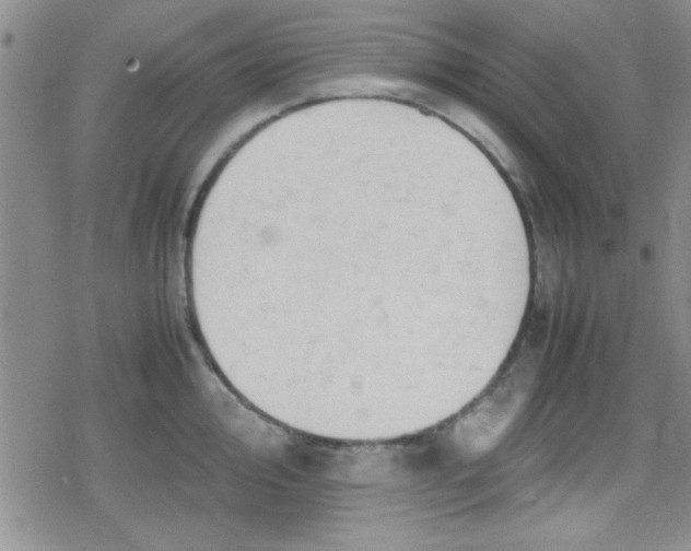 X0000079341000200612082020