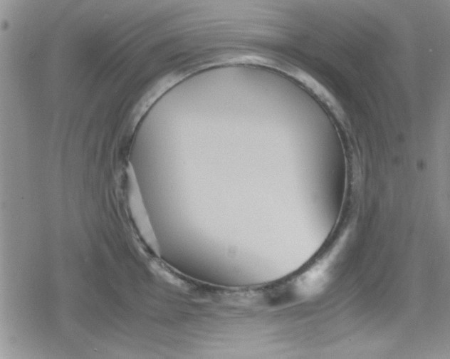 X0000079341001200612082020