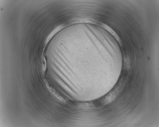 X0000079341002200612082019