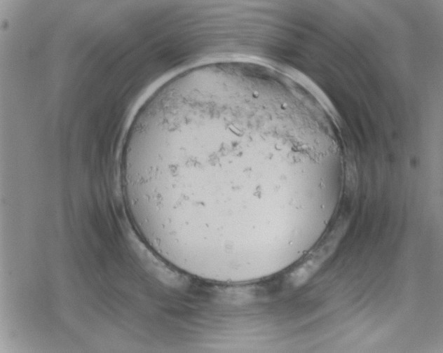 X0000079341004200612082019