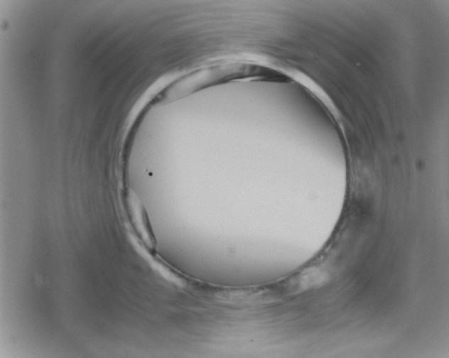 X0000079341005200612082019