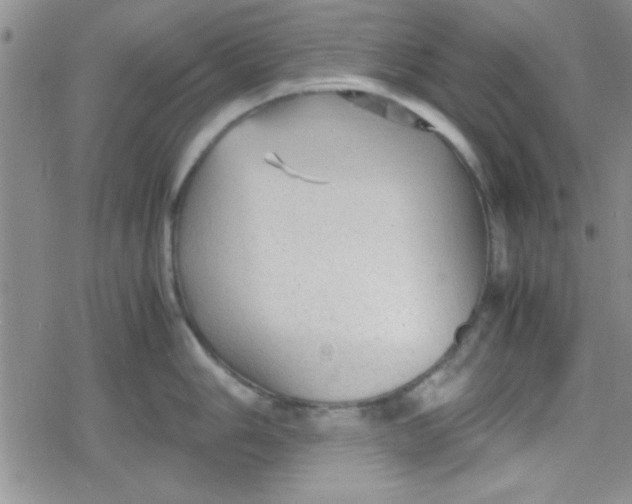 X0000079341006200612082019