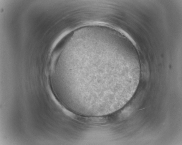 X0000079341007200612082019