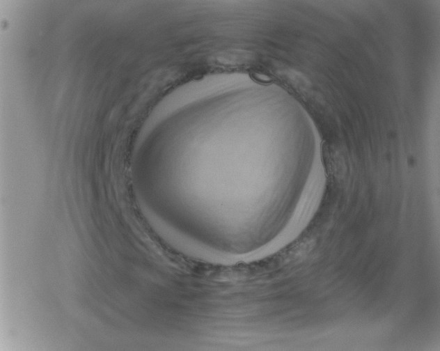 X0000079341009200612082019