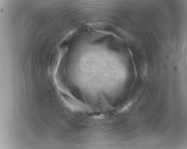 X0000079341010200612082019