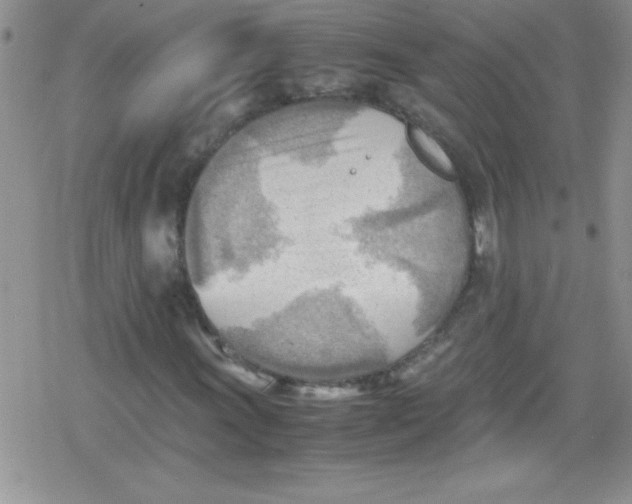 X0000079341011200612082019