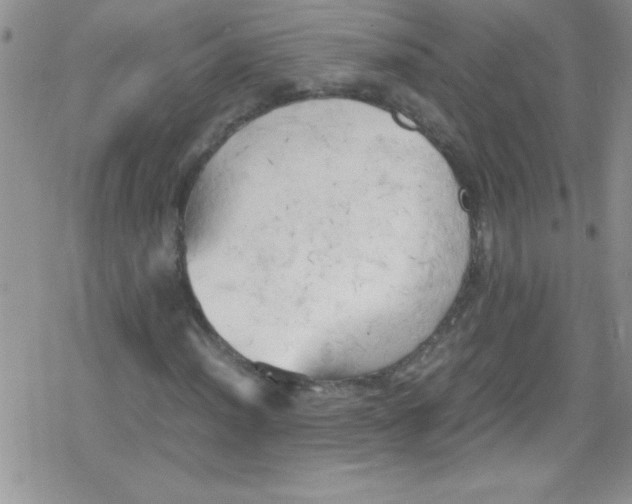 X0000079341012200612082019