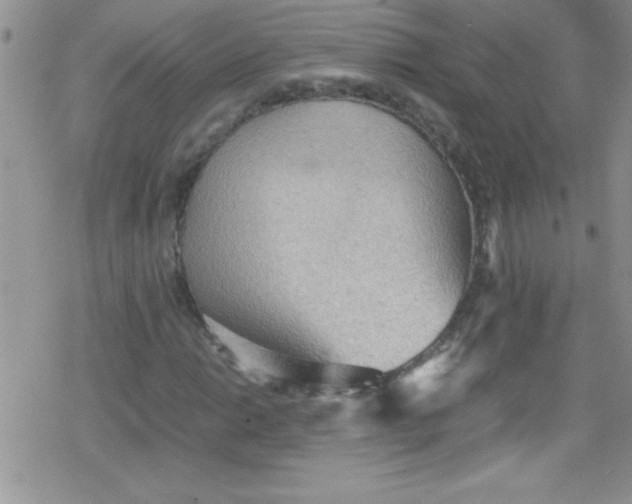 X0000079341014200612082019