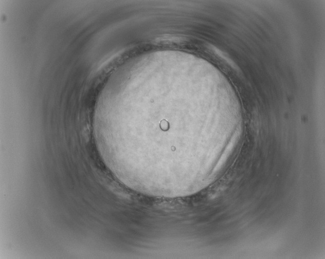 X0000079341015200612082019